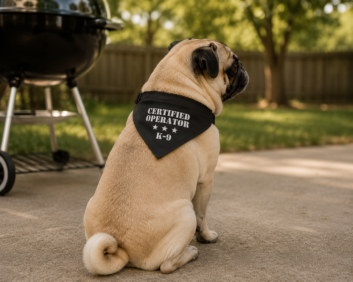 Certified Operator - K9 Recognition Collar