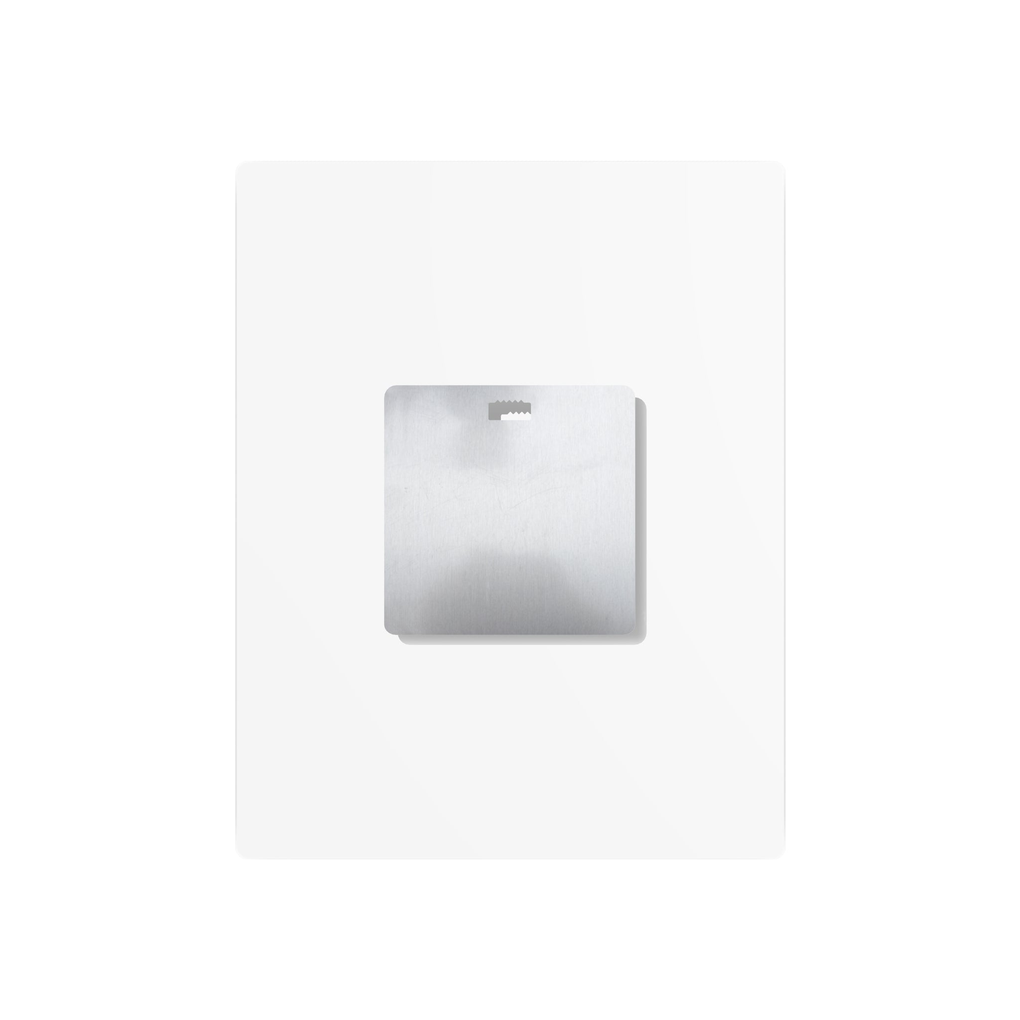 Certified Smoke Show - Metal Wall Art